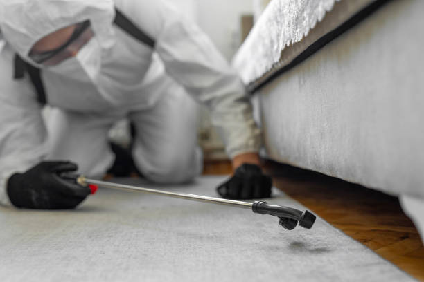 Professional Bed Bug Control technician working in Hydro, OK